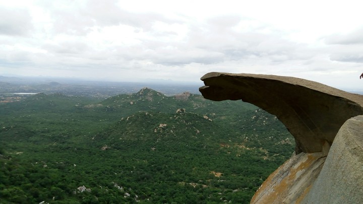 view