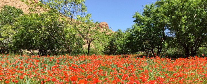 La nature de maroc