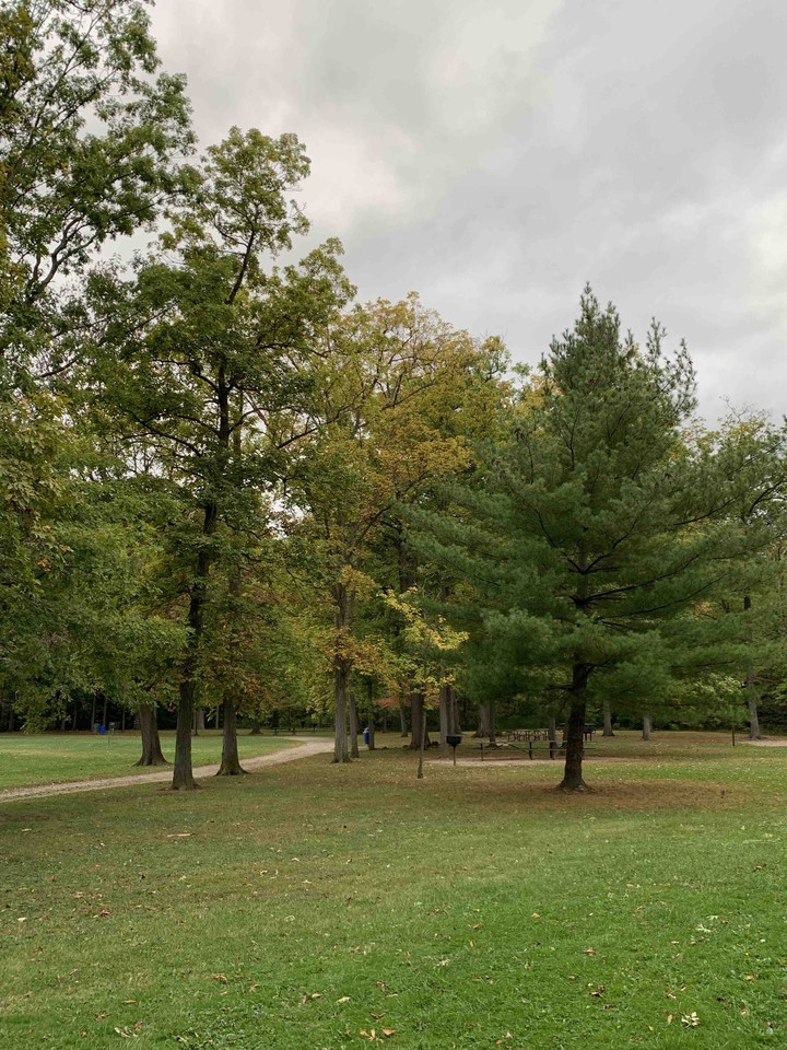 fall day