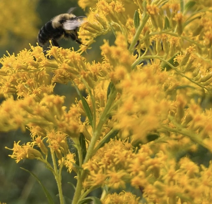 .