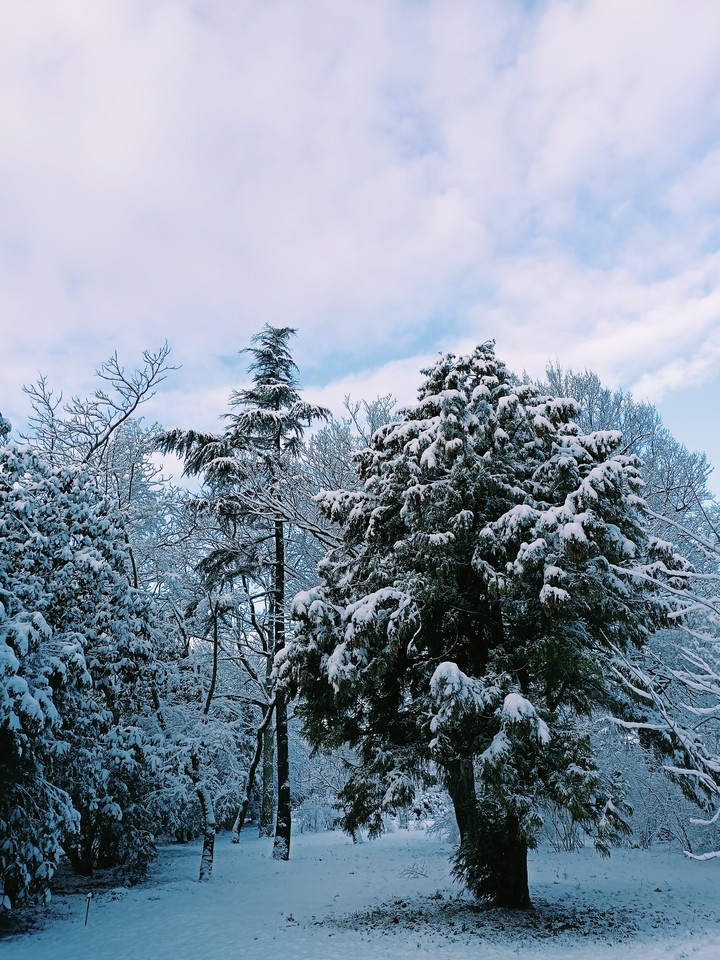 Winter