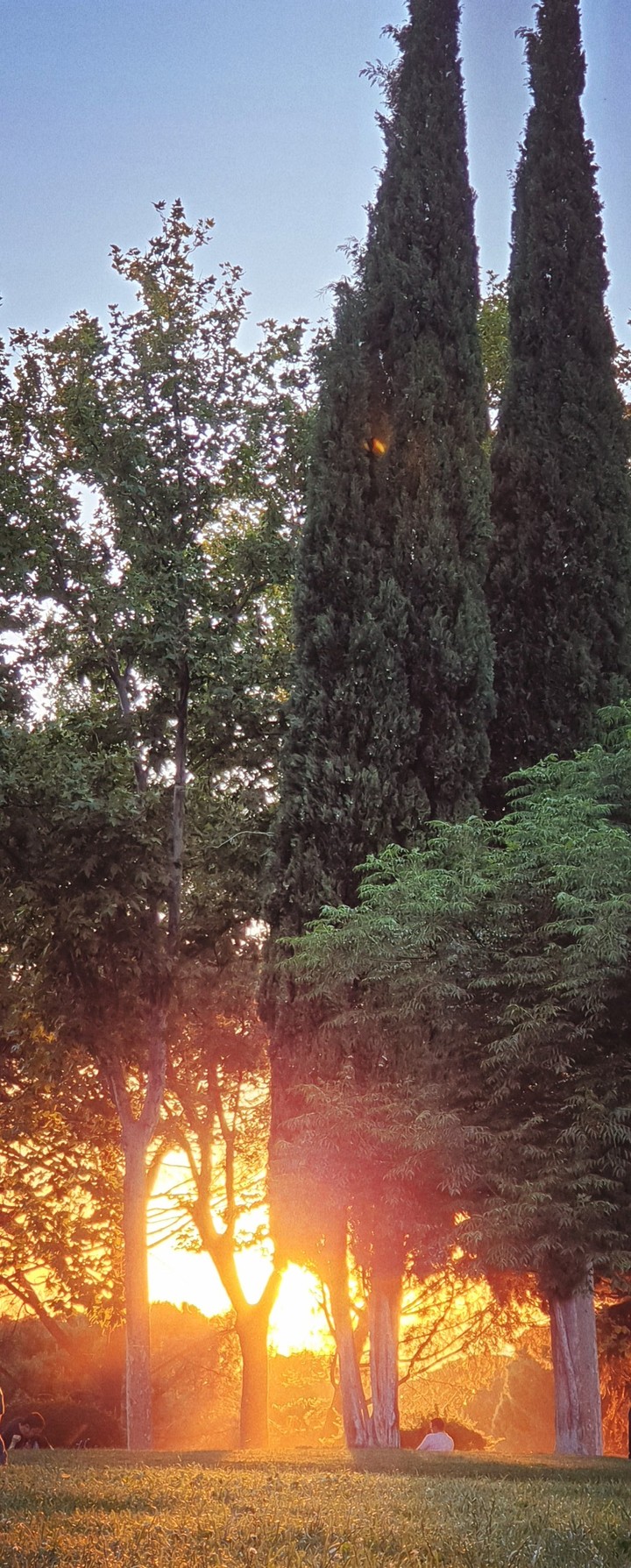 Sunset.