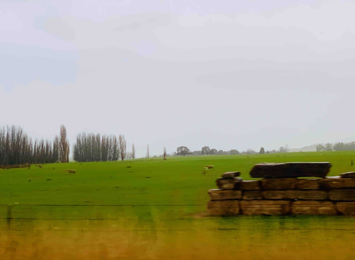 Landscape