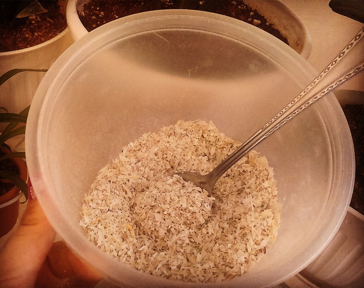 Dry garlic peel is the best pesticide for potting soil