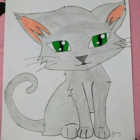 Cat