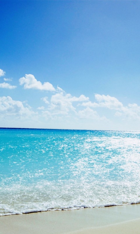 Paradise