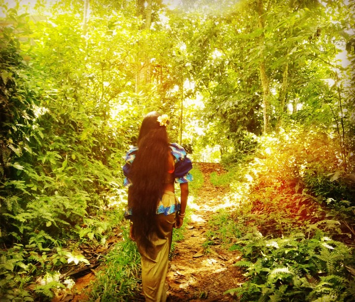 Into the woods