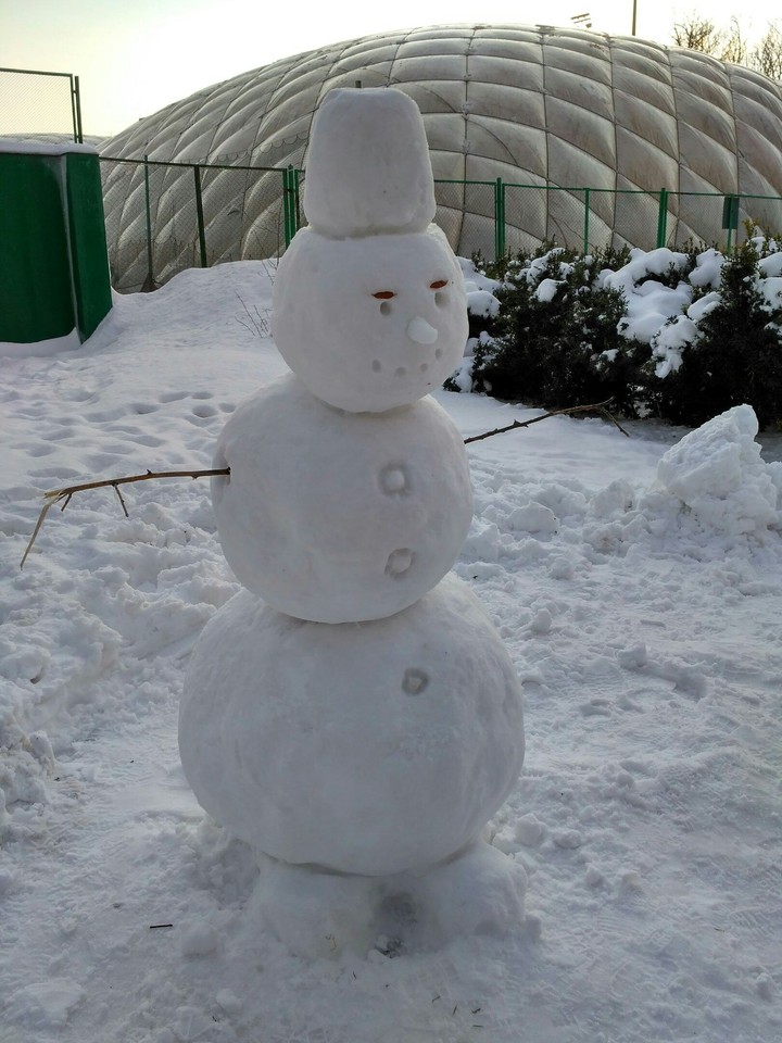 snowman *0* or....