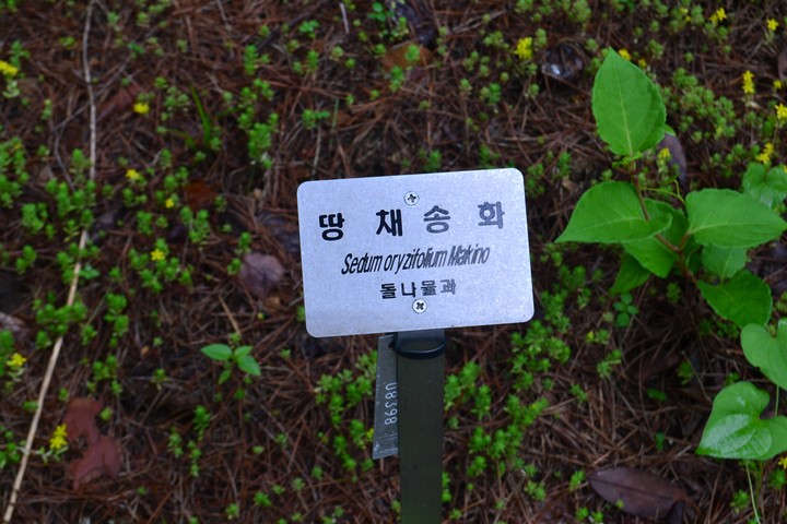 안면도이미지