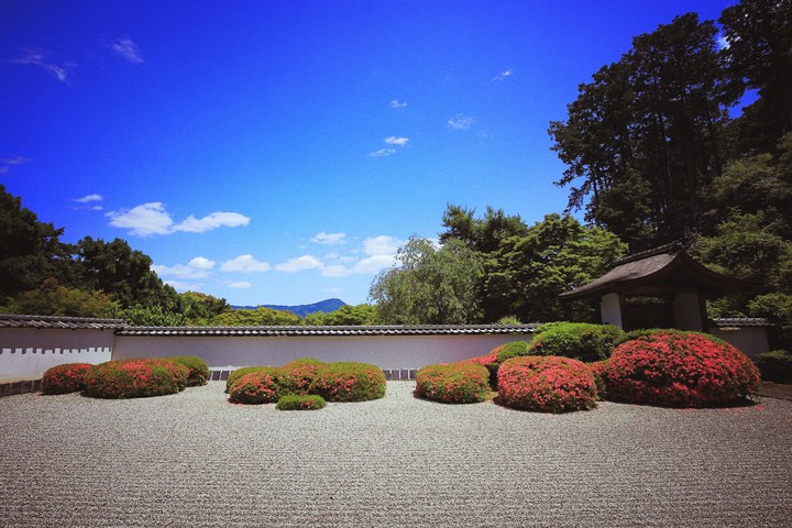 Japanese garden