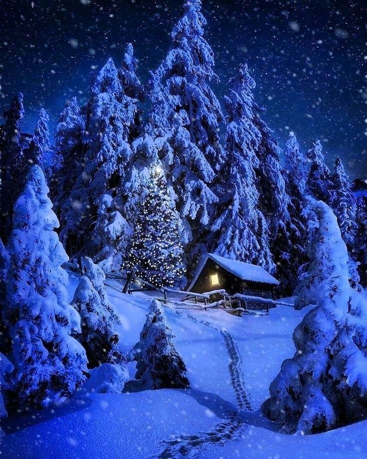 night sky