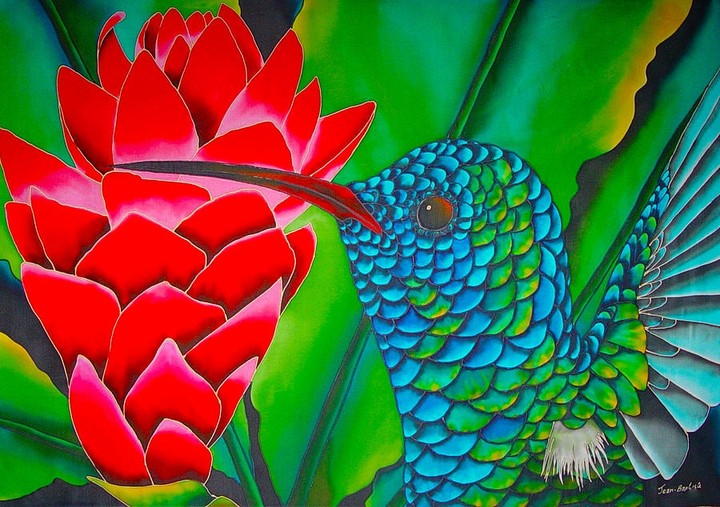 colour full Bird