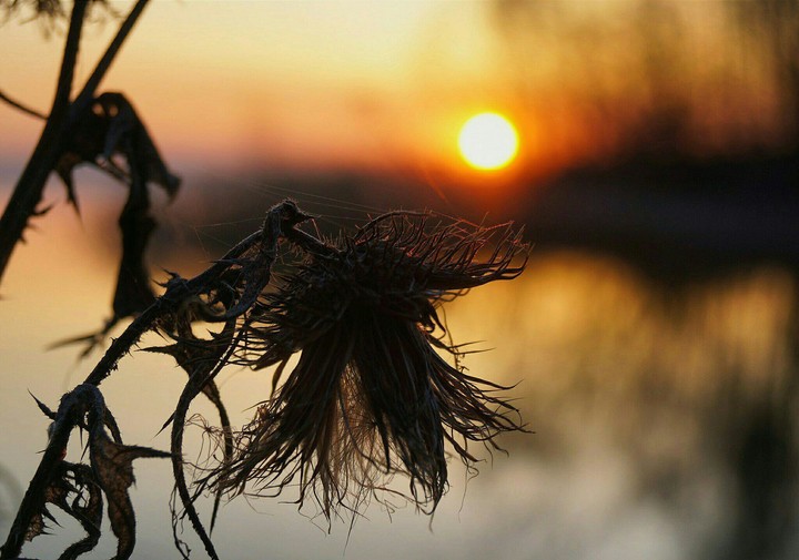 red sun