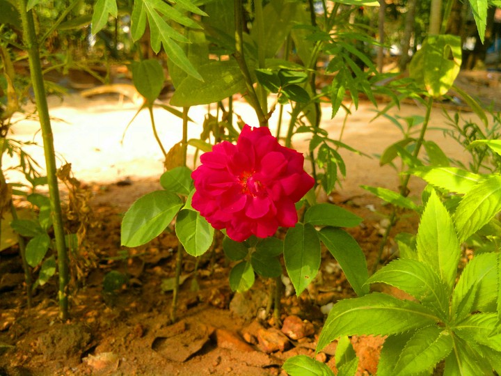top
