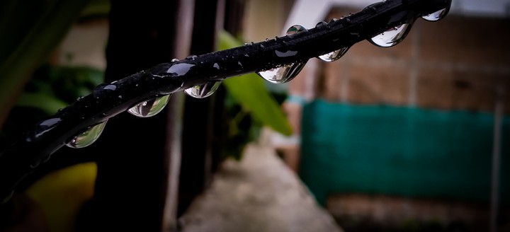 rain drops