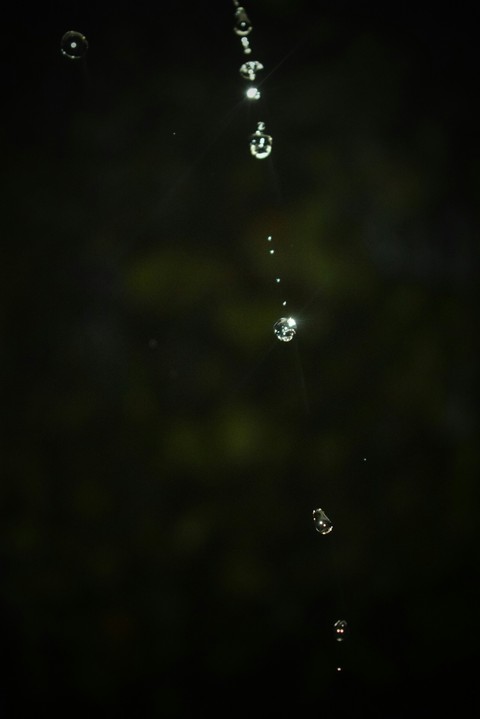 Water drops falling