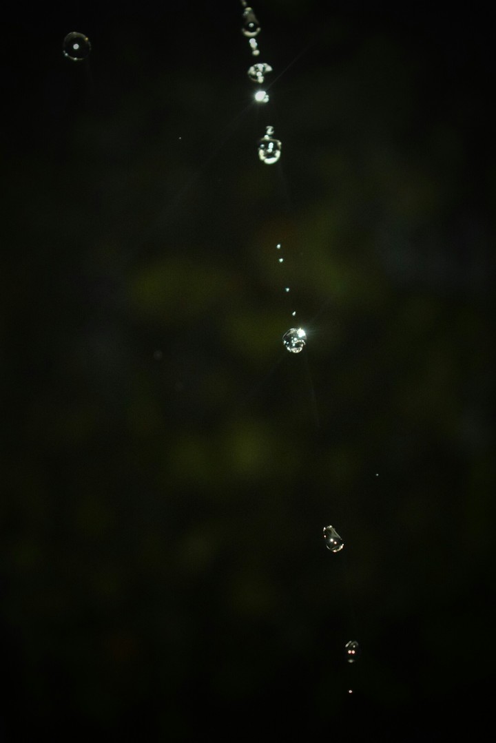 Water drops falling