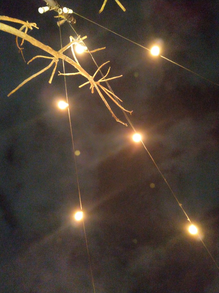 lights of love.