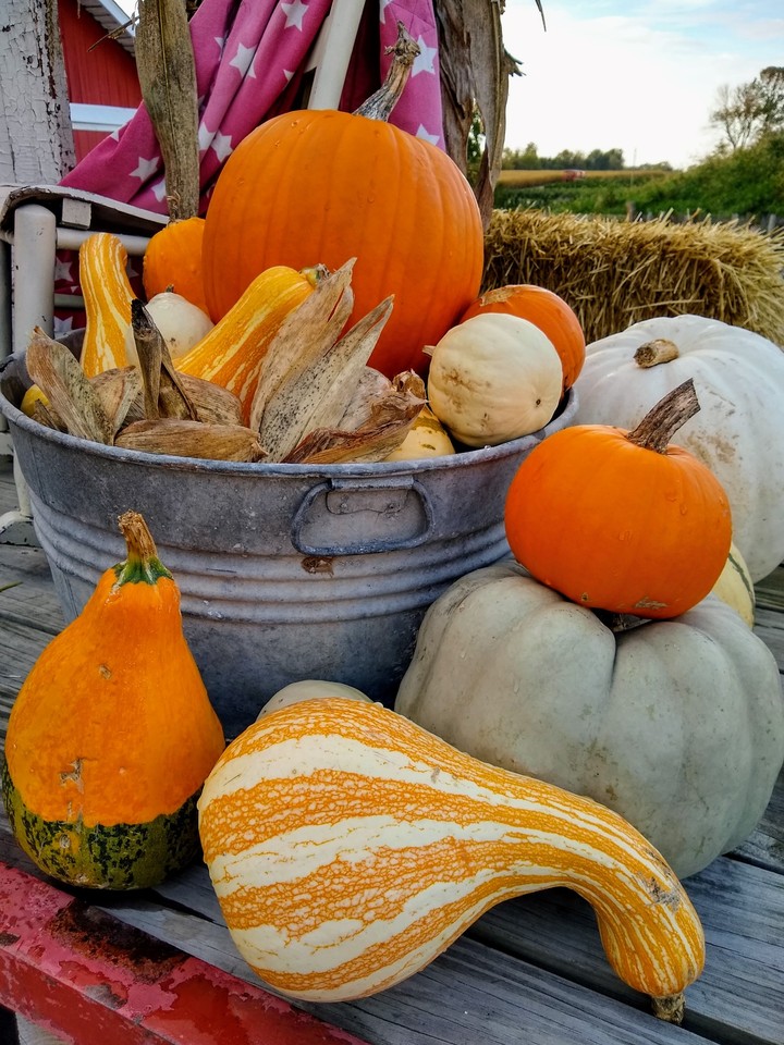 Fall Festival