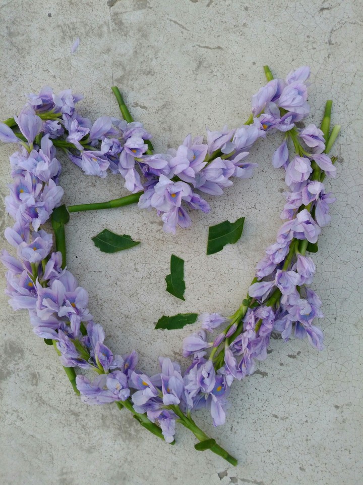 love face of flowers,