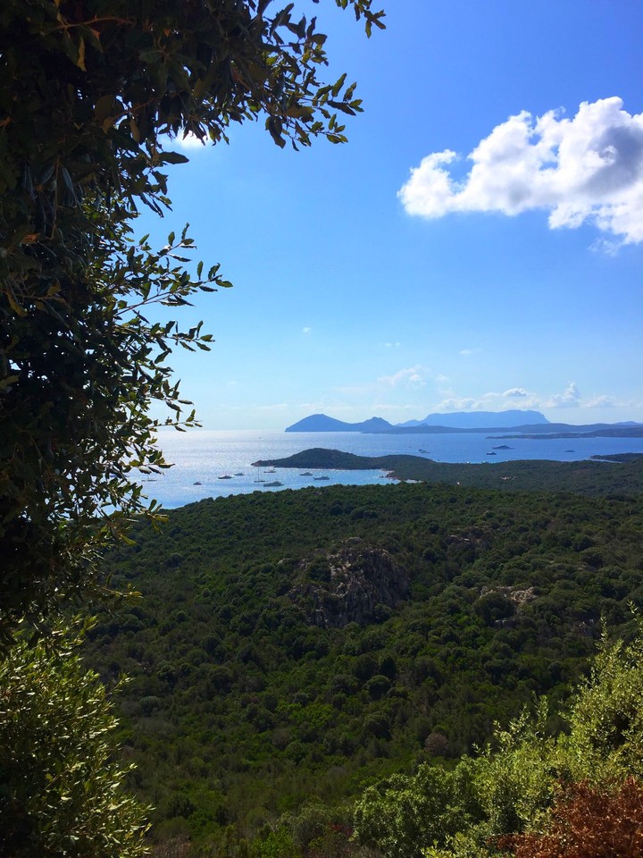 Sardegna