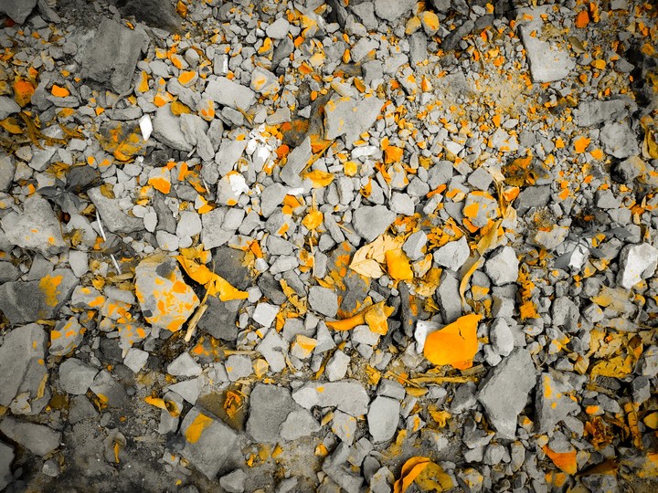 Vibrance