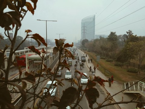 view