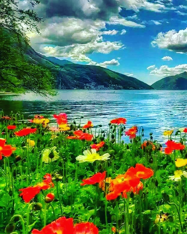 beautiful image