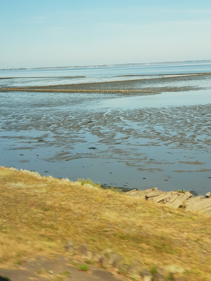 Wattenmeer