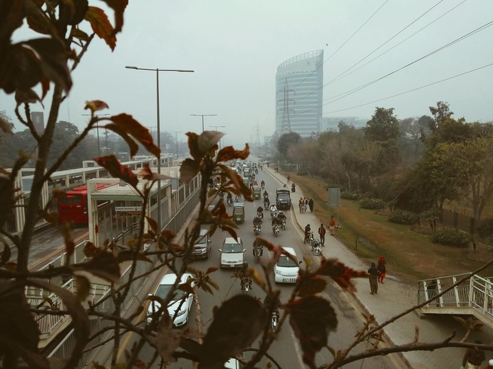 view