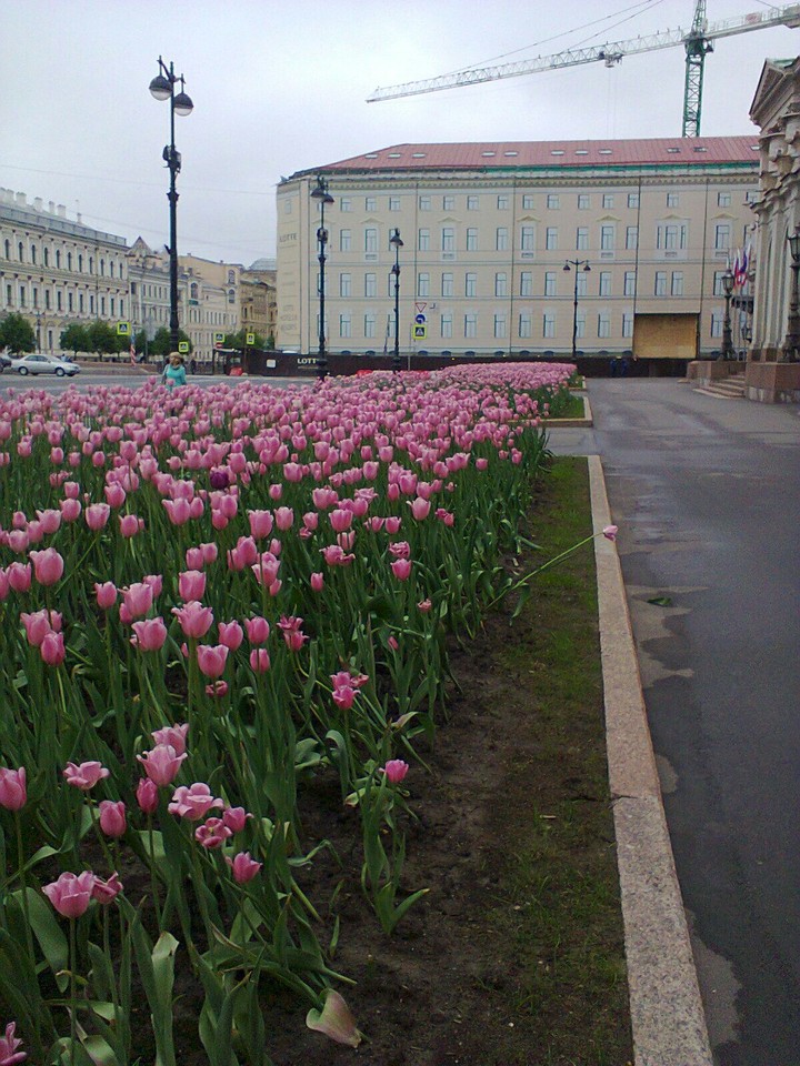 СПБ