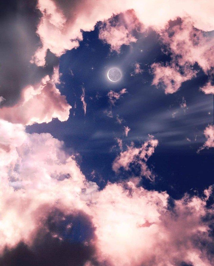 ☆°•~☆°•~☆°•~