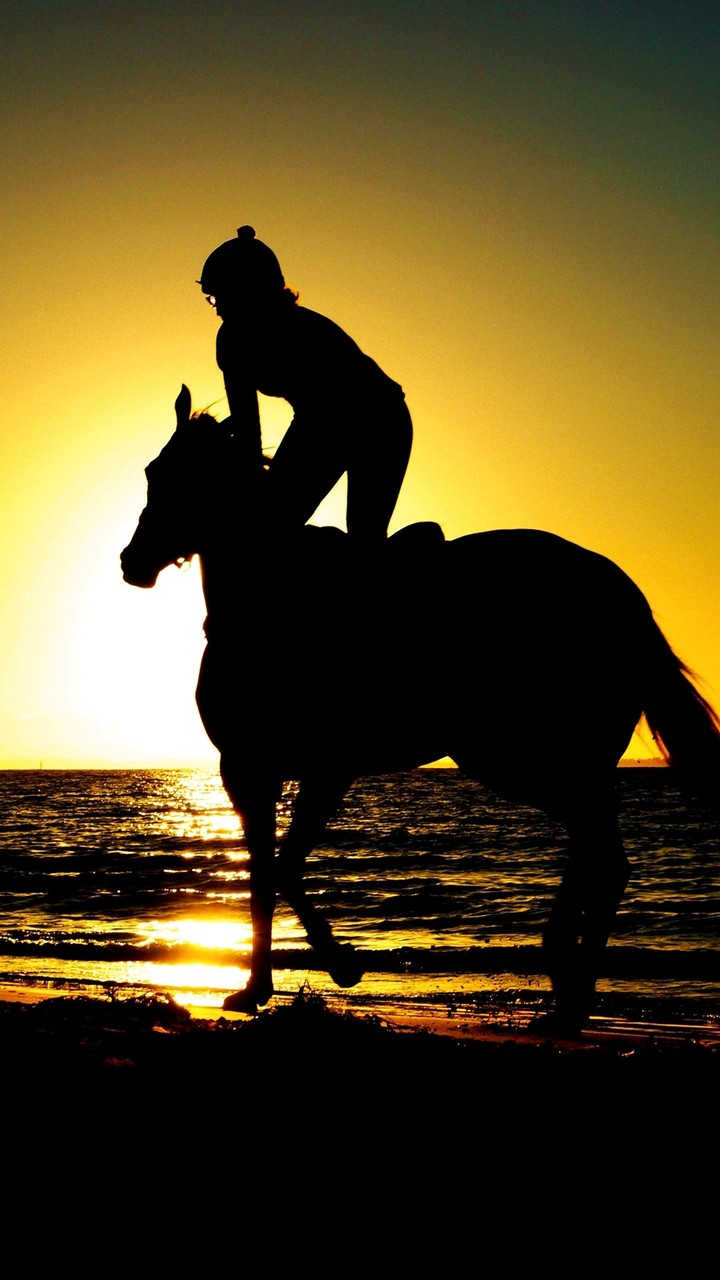 Reiten