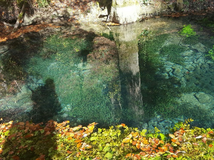 Reflexionen
