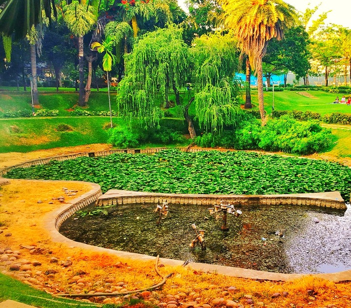 nature view