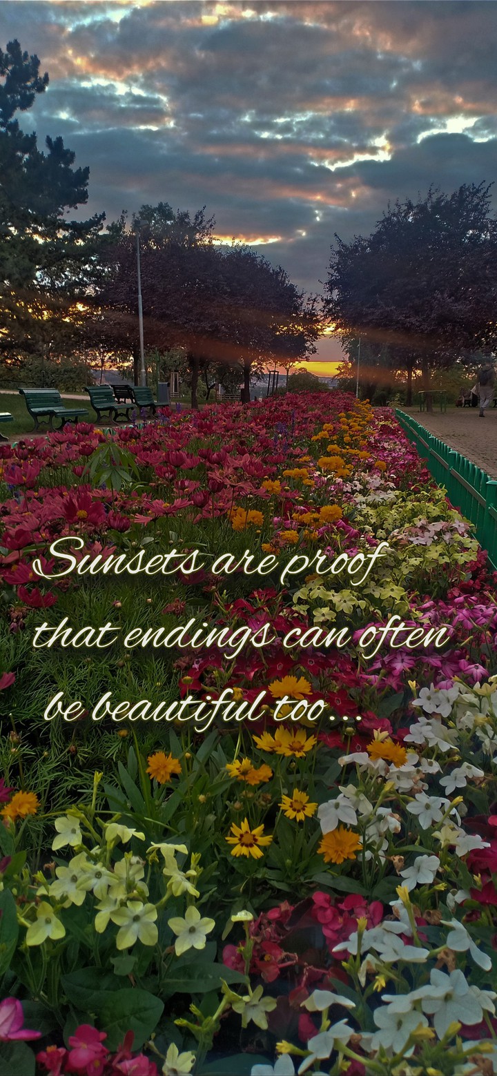 the beauty of sunset