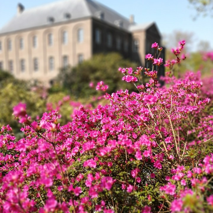 kasteeltuin