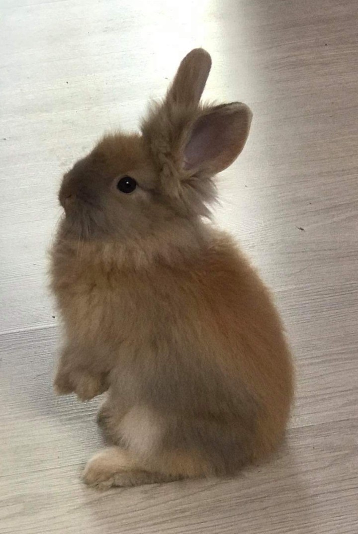 take me pleese
