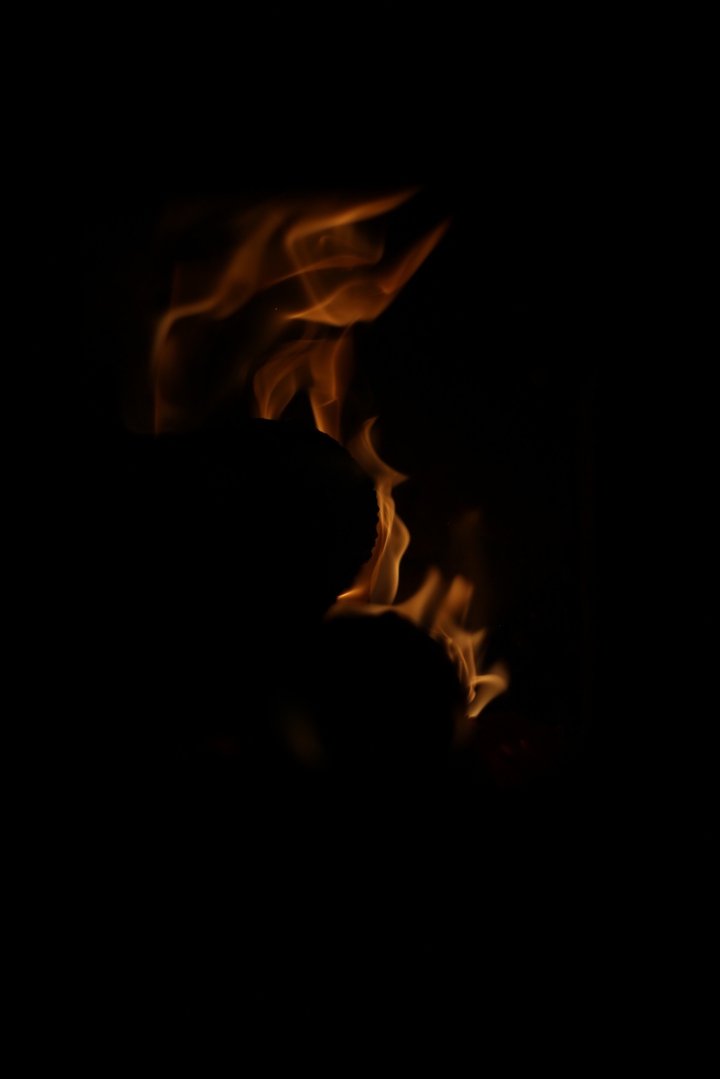 Firewood