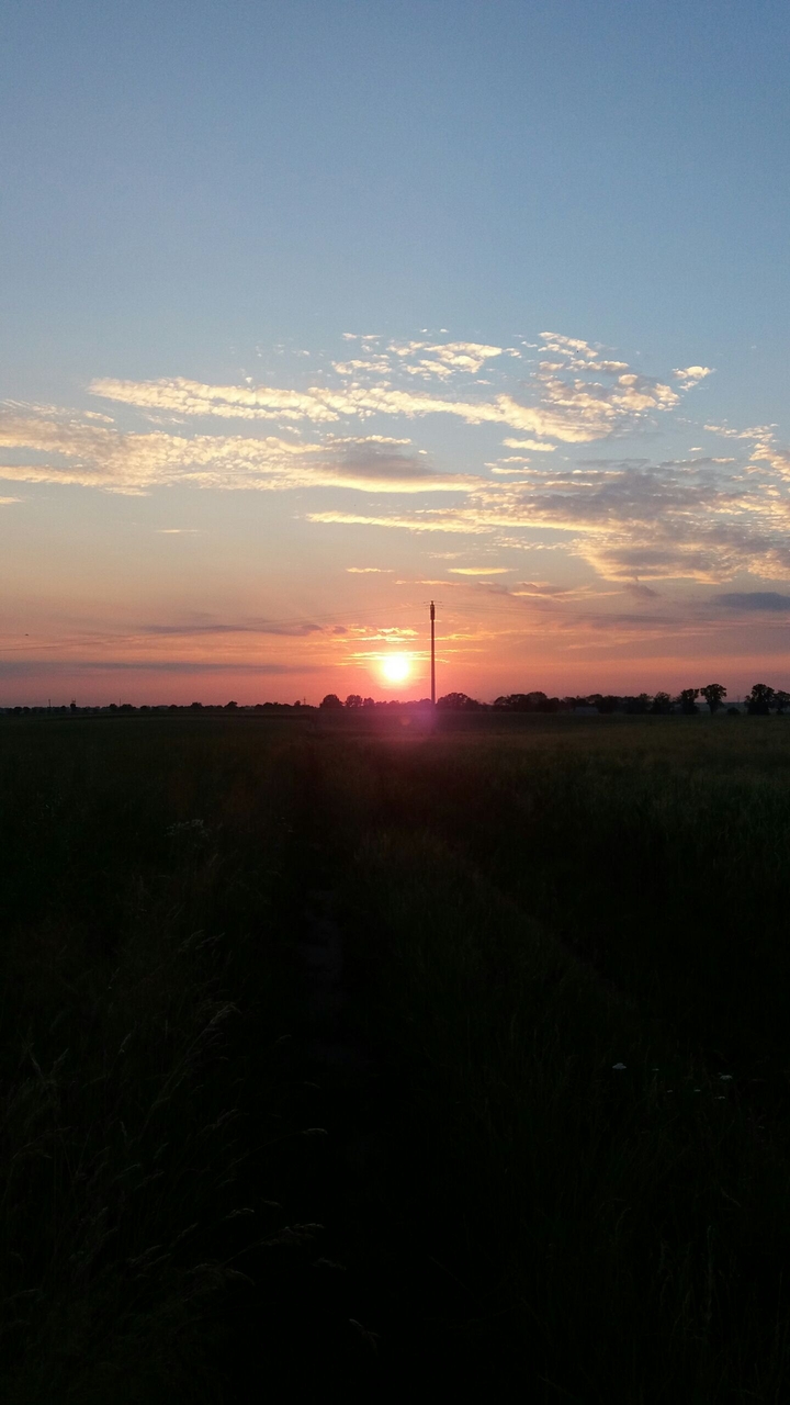 sun