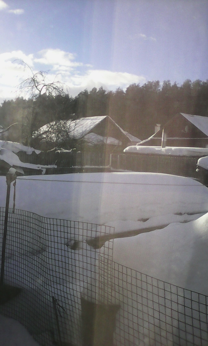 My yard 2)))