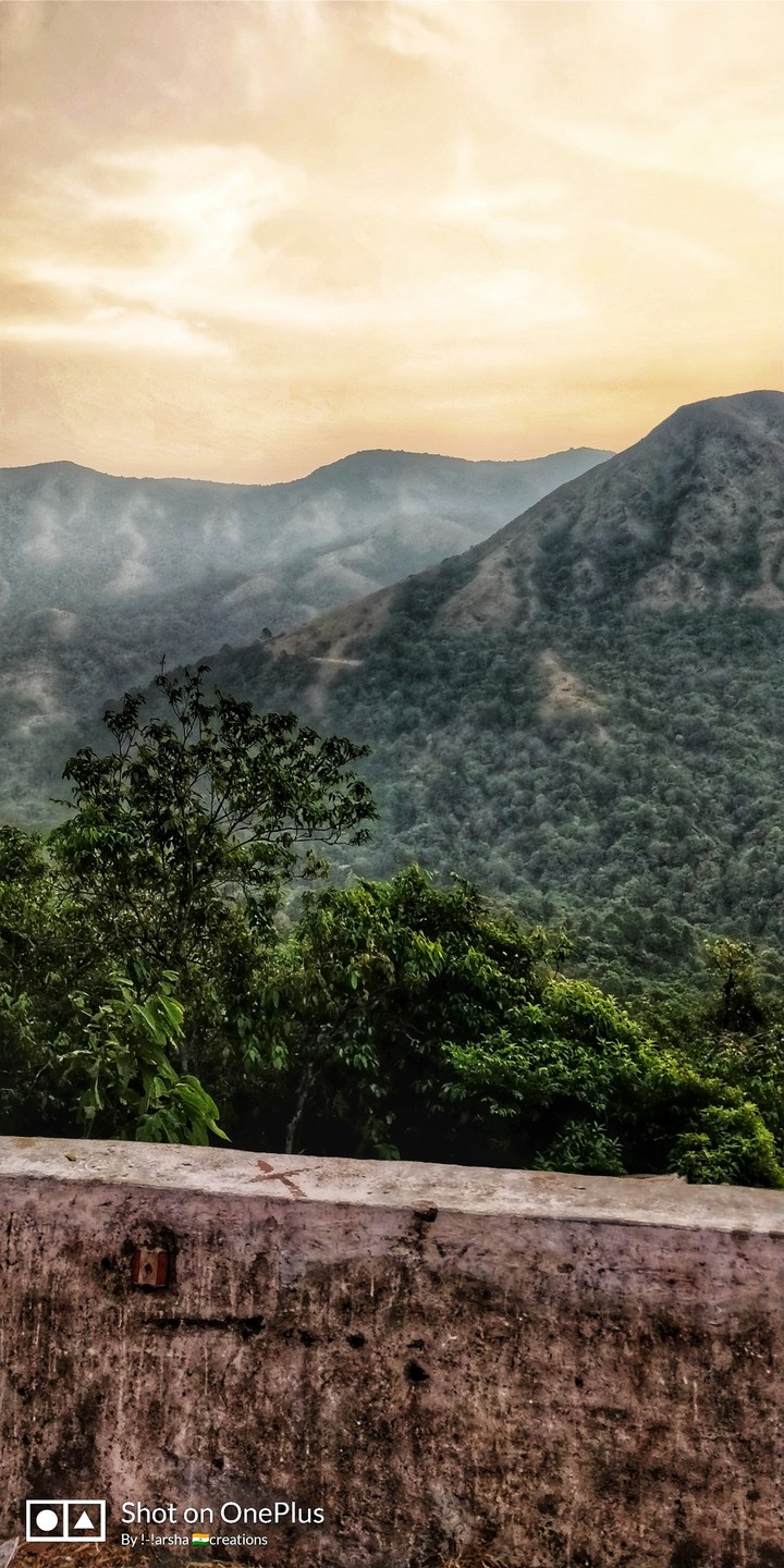 Nature