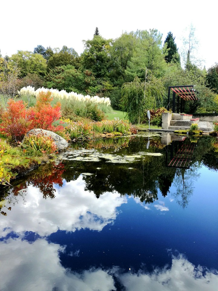 pond