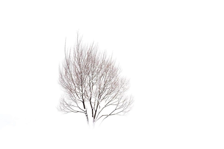 snow