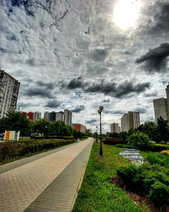 Москва. Россия. Лето.