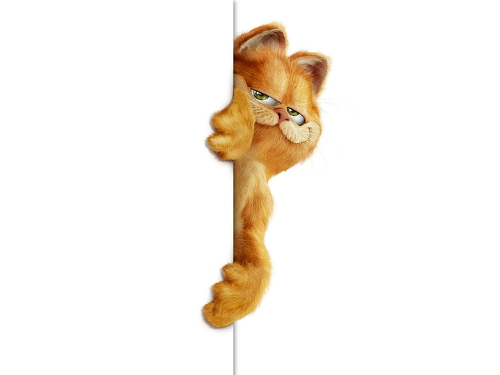 знакомый кот
