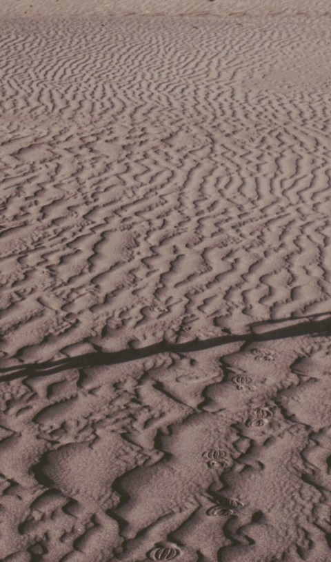 Sand Dunes