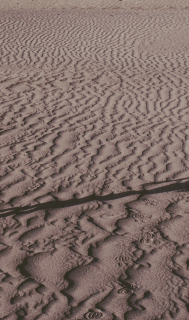 Sand Dunes