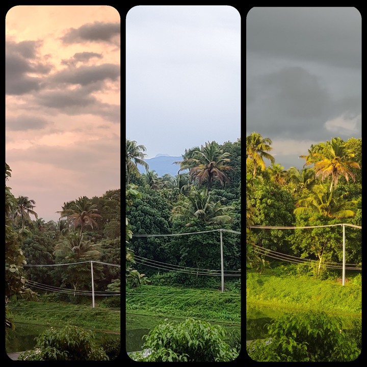 shades of nature