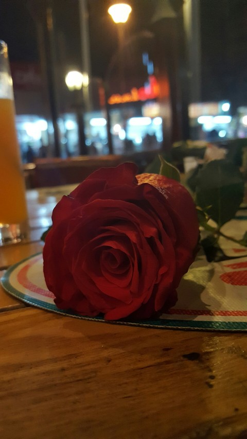 Roses night